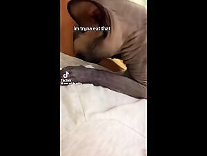 Wild pussy  screaming with doggy