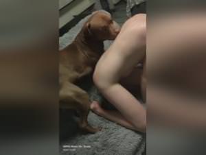 Polish Girl Dog Extreme Sex