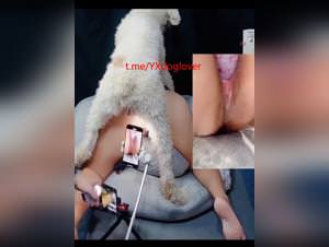 Big Dog Dominates Chinese Girl, XXX Video