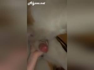 Blonde girl wild doggy sex fantasy