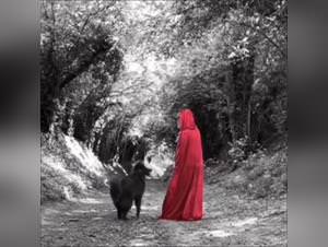 Wolf sex with girl, taboo desire