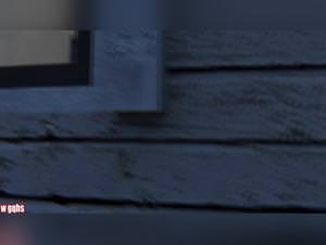 She Dog Sex, Extreme Animal Fuck