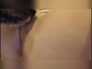 Woman fucks dog Weekend Sex