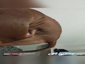 Dog fuck madness: she craves her canine cock