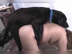 Milly Wolfteen Dog Sex Part 1