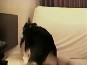 Caledonian Breanna Dog Fuck