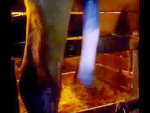 Zoophilia video with a horny stud