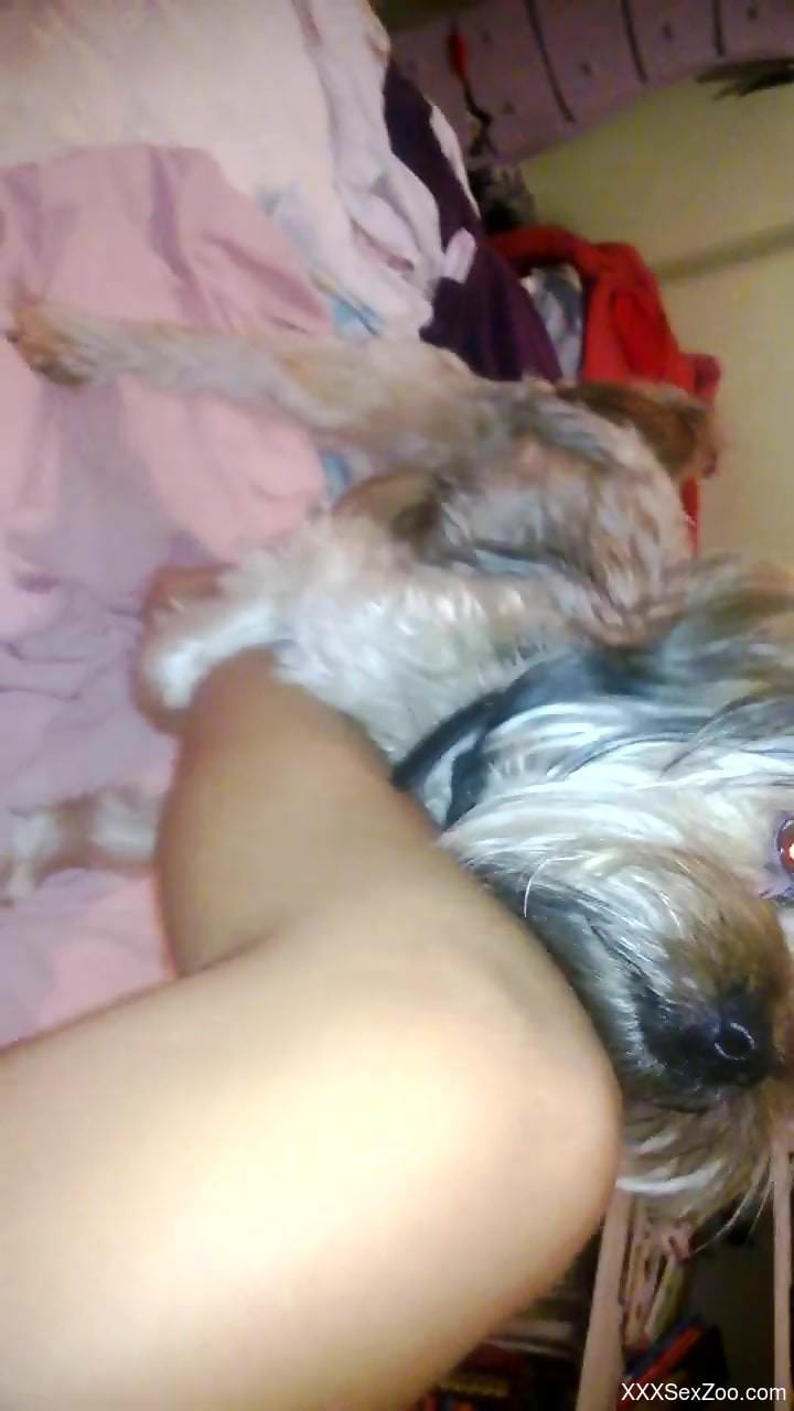 Dog dry-humping its owner's sexy leg in POV