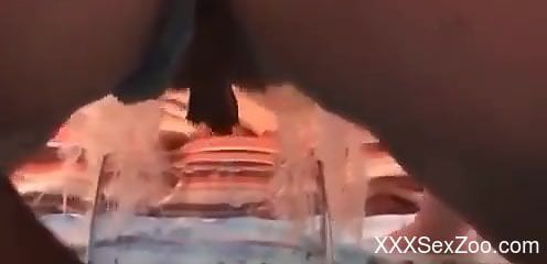 Aroused dog suits woman's dirty desires by fucking her