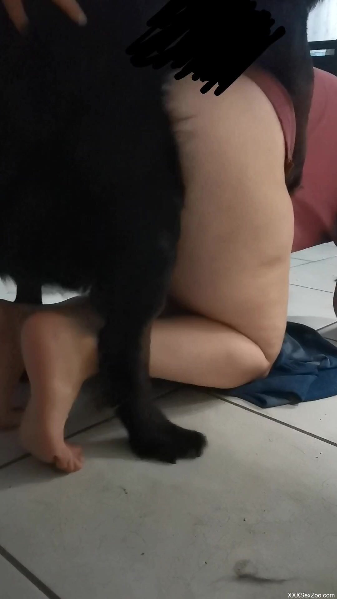 Big ass woman gets fucked by the dog in loud positions