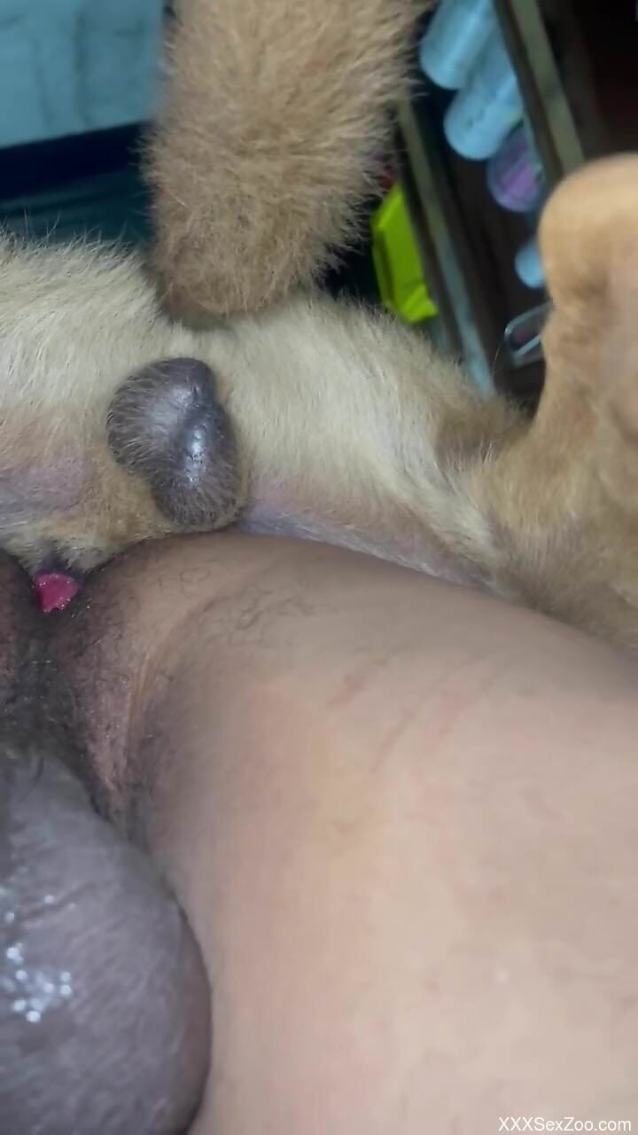 Dog ass fucks nude gay man until sperm pops on his ass
