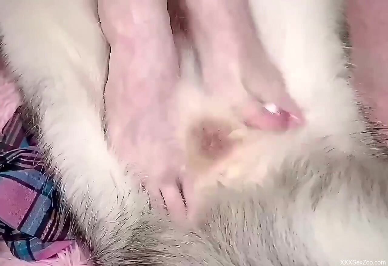 Masked cam model plays with the dog's dick like a whore