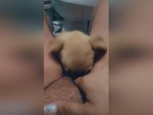 Puppy eats pussy, extreme fetish