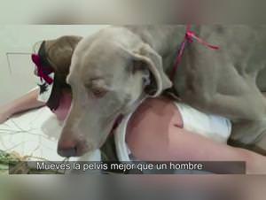 Doggy Mistress Frenzy