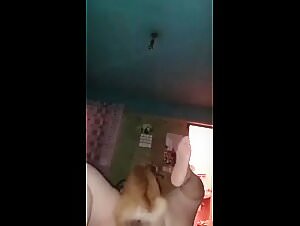 The Best Zooxxx Bestiality Stories At Your Disposal