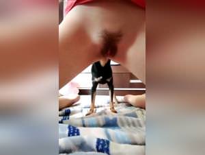 Hairy Teen Pussy, Dog Fuck Alone Bedroom