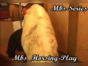 Woman Fucks Horse Mistress MBS