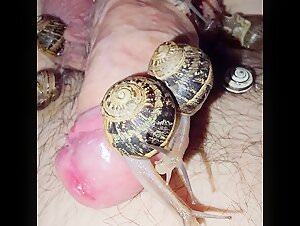 Sex videos with animals: explore the limits of ecstasy