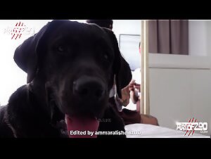 Animal Porn Experiments: An Exploration of the Excessive