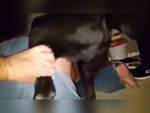 Latina fucked jeans tiktok dog