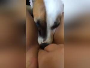 Fleshy Freak: Bitch Licks Dog Part 1