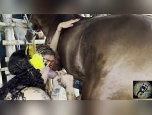 Dog fucking lovers: taboo beastiality, sexy brunette fucks my dog