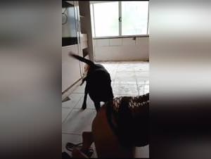 Brazilian babe amateur fucks dog raw