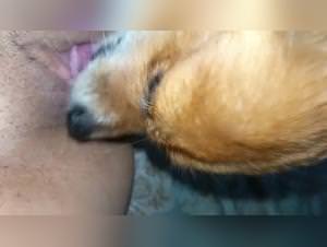 Girl Dog Sex Extreme Part 1