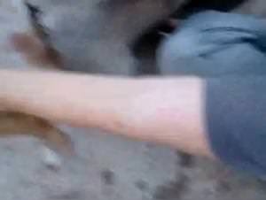 Zooskool - Stray-X - Girl Fucks Dog Part 7