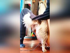 Sultry teen, animalistic sex frenzy