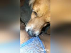 Teenage slut's primal lust with dog