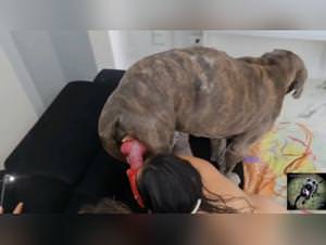 Wild dog sex alisonprod frenzy