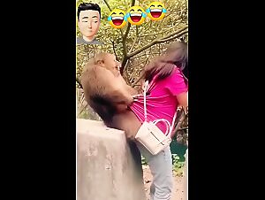 Sexy monkey seduce dog and get fucked by him, horny dog fucks hot blonde woman