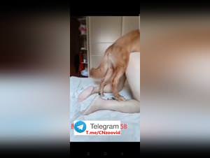 Chinese MILF, Big Butt, Dog Sex