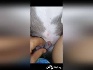 Indian gf wild beastly sex