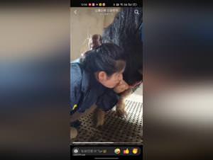 Chinese beastly delights