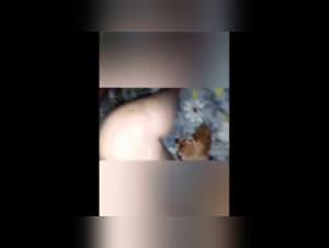 Pantera's Wild Dog Fuck