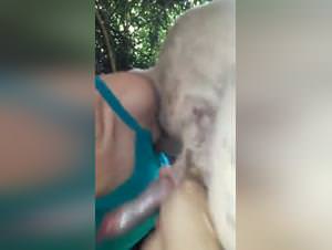 Wild dog sex, animal fetish