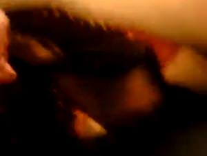 Bitch sucks dog hard