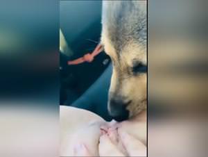 FapZoo.net: Girl Dog Licking Action