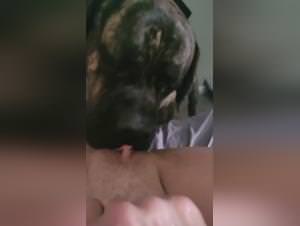 Mastiff Mom Porn: Hardcore Sex