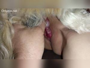 Wife loving dog sex brutally