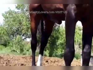 Vibra play and hard cock jerk