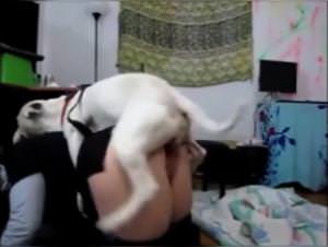 Doggystyle with slut: Animal Sex Extreme