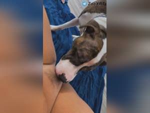 Girl Dog Lick Frenzy