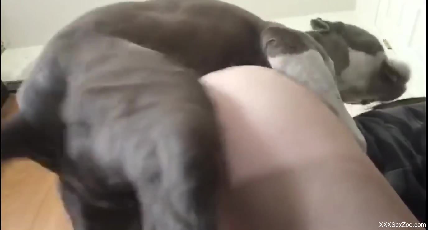 Big booty babe getting screwed from behind in HD