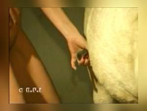 Woman Dog Bestial - Extreme Sex