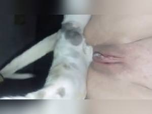 MissFreak33Queen: Bestial Sex with Dog - Extreme