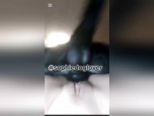 Bitch Fucked By Dog, My Dog Knot Me Knotted