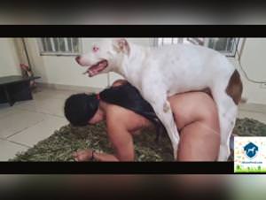 Bestiality zoolofilia with Denise Fraizer - ZTube Animal Sex